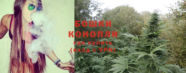 прущие грибы Абаза