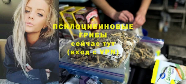 гашик Пролетарск
